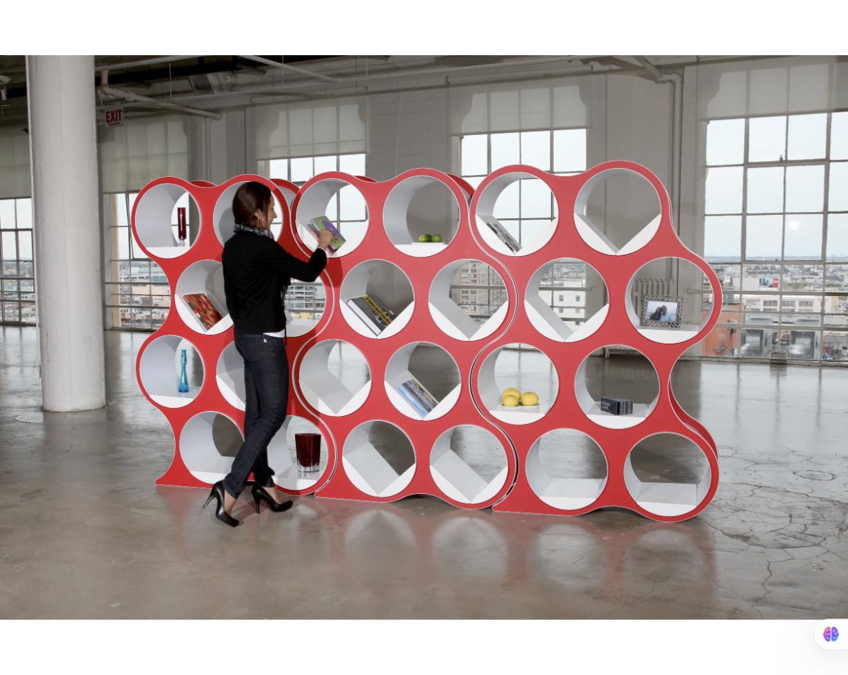 1st Prize: Best New Shelving System