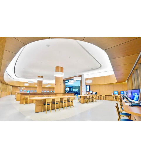 THE PUBLIC LIBRARY WANTS TO BE YOUR OFFICE
