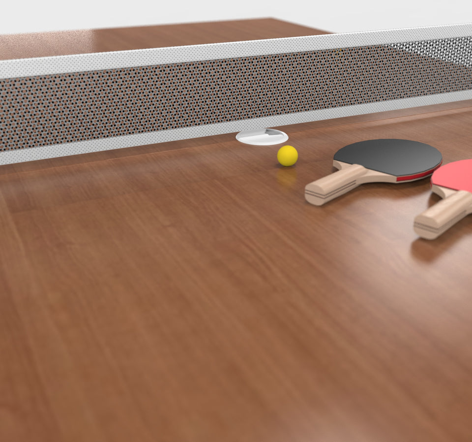 EYHOV Sport Conference Ping Pong Table